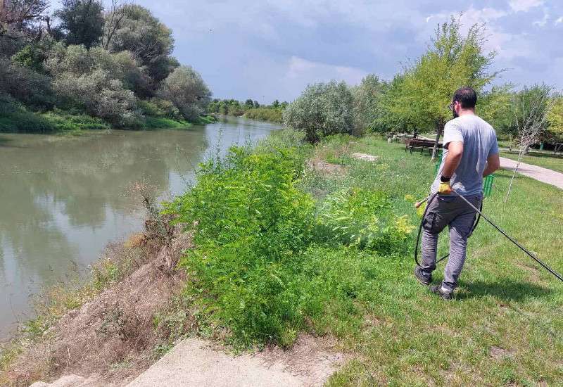 Cilj projekta je unapređenje kapaciteta grada Pančeva za bolju kontrolu ambrozije kao važnog alergena i prirodnog emitera PM čestica putem osavremenjavanja opreme za ko&scaron;enje ambrozije, sprovođenja kampanja uklanjanja ambrozije, monitoringa polena, podizanja svesti javnosti o značaju uklanjanja ambrozije i informisanje o načinima kako da se to uradi u domaćinstvima