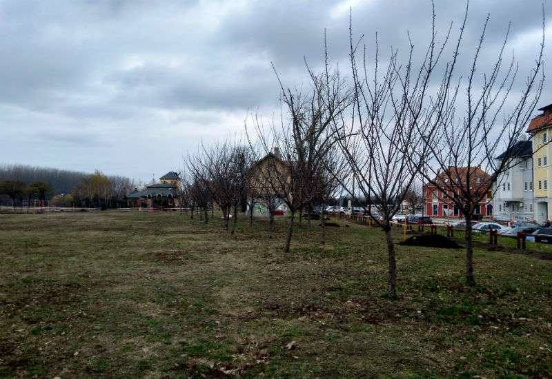 Akcija sadnje drveća biće organizovana u Parku prijateljstva na tami&scaron;kom keju u Pančevu