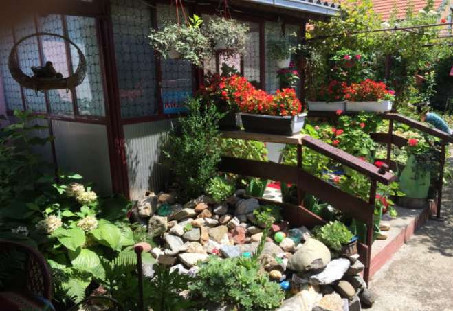 Na konkursu "Najlepše uređeno dvorište Omoljice u 2016. godini" najviše glasova osvojilo je dvorište čija je vlasnica Olgica Vlajković