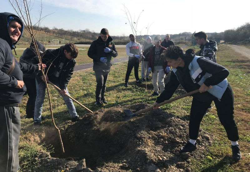 Akcija sadnje u Dolovu
