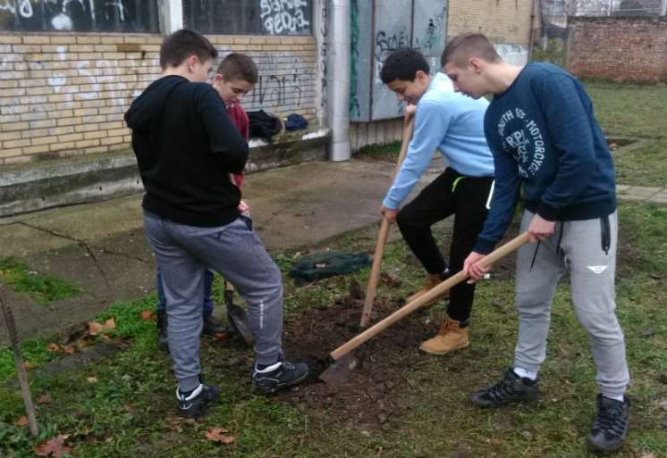U akciji prikupljanja reciklabilnog otpada u &scaron;kolama na teritoriji Pančeva, tri godine za redom pobeđivala je osnovna &scaron;kola &ldquo;Žarko Zrenjanin&rdquo; iz Kačareva. Jedan deo nagrade čine i sadnice za &scaron;kolsko dvori&scaron;te, a one su im uručene i u dvori&scaron;tu zasađene pro&scaron;le nedelje
