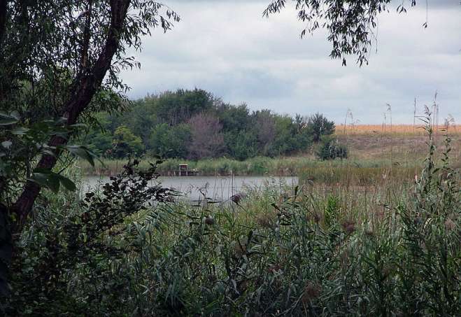 Zobnatičko jezero