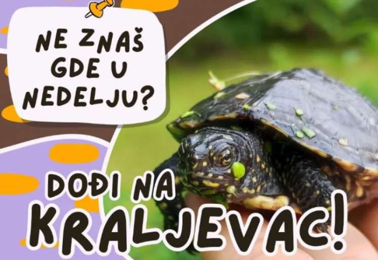 U nedelju, 28. jula, na jezeru Kraljevac biolozi će organizovati ture za posmatranje barskih kornjača dvogledom ili izbliza, a posetioci će moći da se voze čamcem između plutajućih ostrva, fijakerom po selu, da isprobaju riblju čorbu sa kazana i druge đakonije koje će me&scaron;tani pripremiti