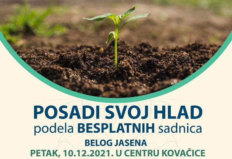 Akcija podele sadnica počeće u podne