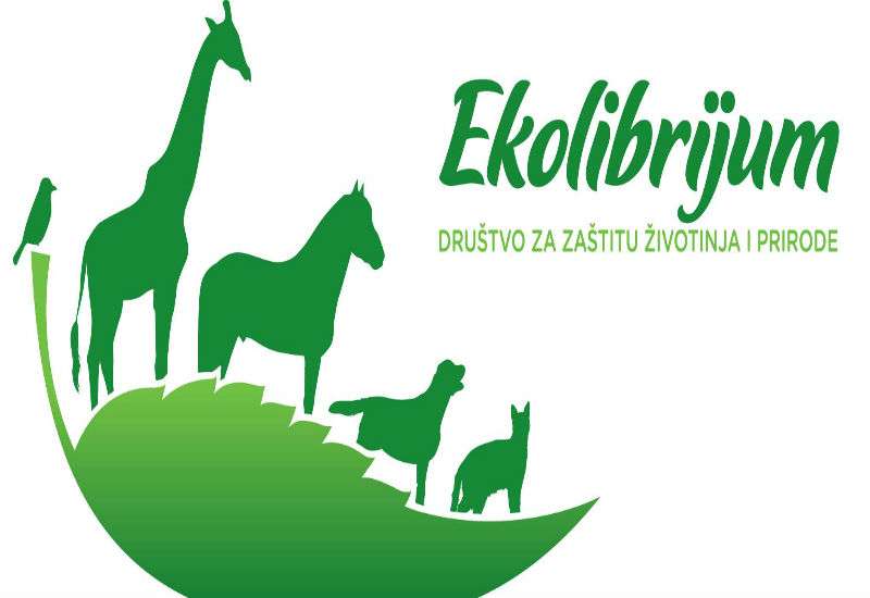 Sve Pančevke i Pančevci koji u ponedeljak, 4. aprila, u periodu od 12 do 17 dođu do &scaron;tanda udruženja "Ekolibrijum" ispred Cafe Brasileiro (na Korzou) i ostave prilog za sterilizaciju napu&scaron;tenih životinja, dobiće kupon za Cappuccino ili Espresso