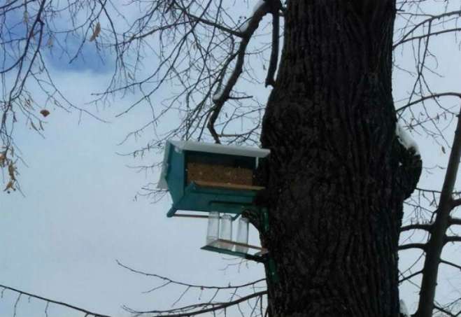 Hranilice i pojilice za ptice postavljene su jesenas, a u ovim zimskim danima gorani ih dopunjavaju hranom za ptice stanarice