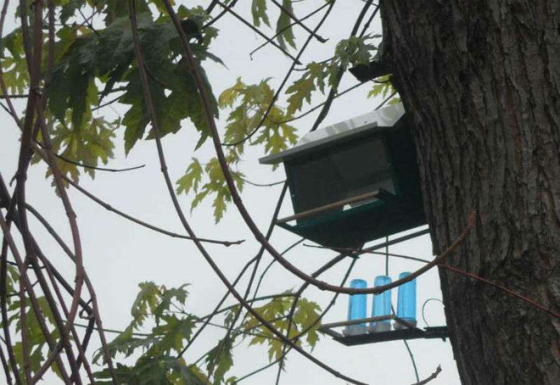 Pokret gorana i centar volontera Pančevo i ove godine nastaviće s akcijom postavljanja hranilica i pojilica za ptice