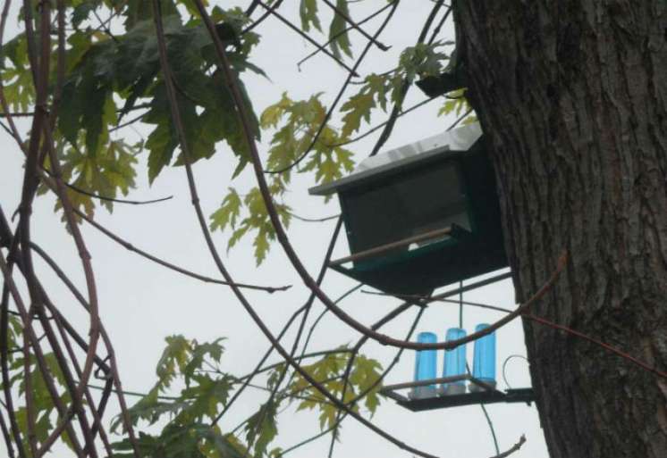 Pokret gorana i centar volontera Pančevo i ove godine nastaviće s akcijom postavljanja hranilica i pojilica za ptice