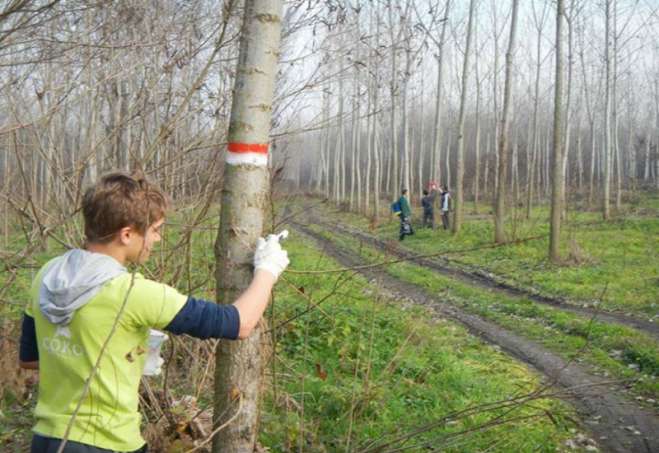Markiranje je izvedeno klasičnom crveno belom markacijom