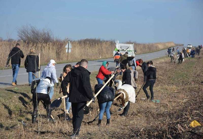 U Opovu se sadi 2.000 sadnica u vetroza&scaron;titnom pojasu