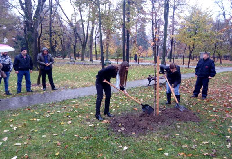 Katarina Banjai, članica Gradskog veća zadužena za zaštitu životne sredine i održivi razvoj i Ženja Marinković iz JKP &quot;Zelenilo&quot; jutros su zajedno posadile mladicu javora