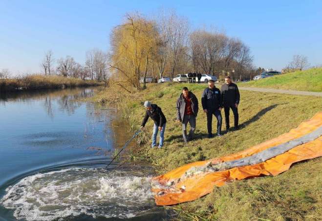  Riblji fond bogatiji za više od 21.000 kilograma mlađi šarana