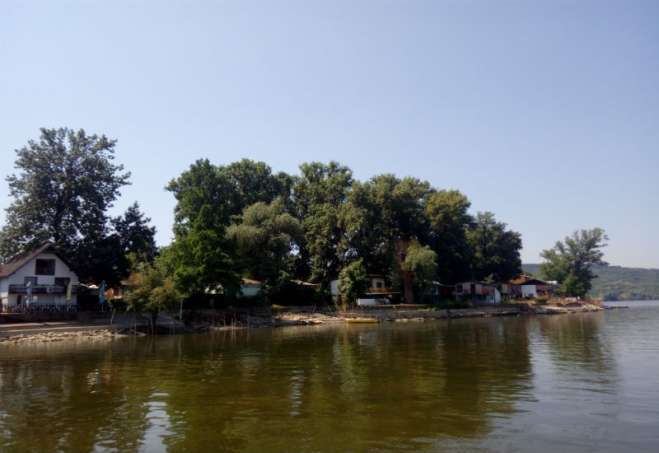 Do rečne ade „Bela stena“ na sred Dunava, sa peščanom plažom, nekoliko restorana i blizu tri stotine vikendica, stiže se samo čamcima