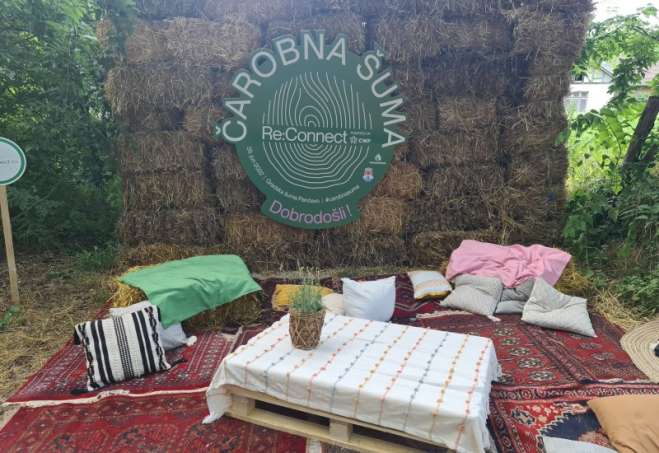 Prvi deo Reconnect festivala u Pančevu održan je 26. juna u Gradskoj šumi