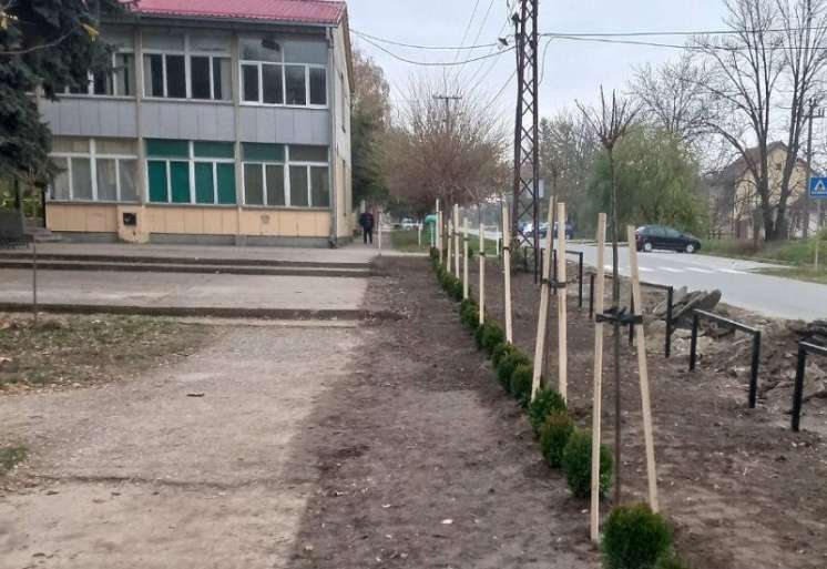 Park u Banatskom Karlovcu
