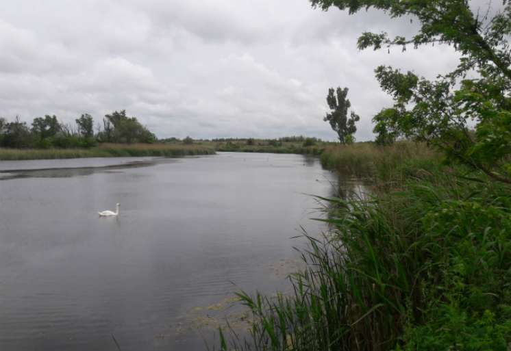 Bačkotopolsko jezero