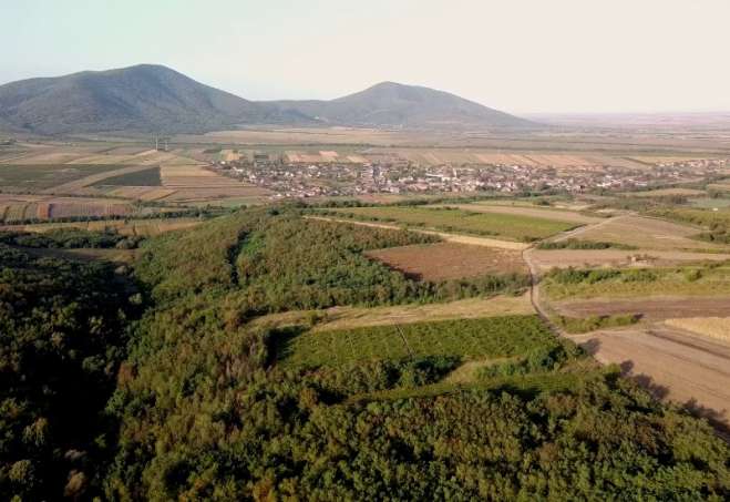 Vršačke planine